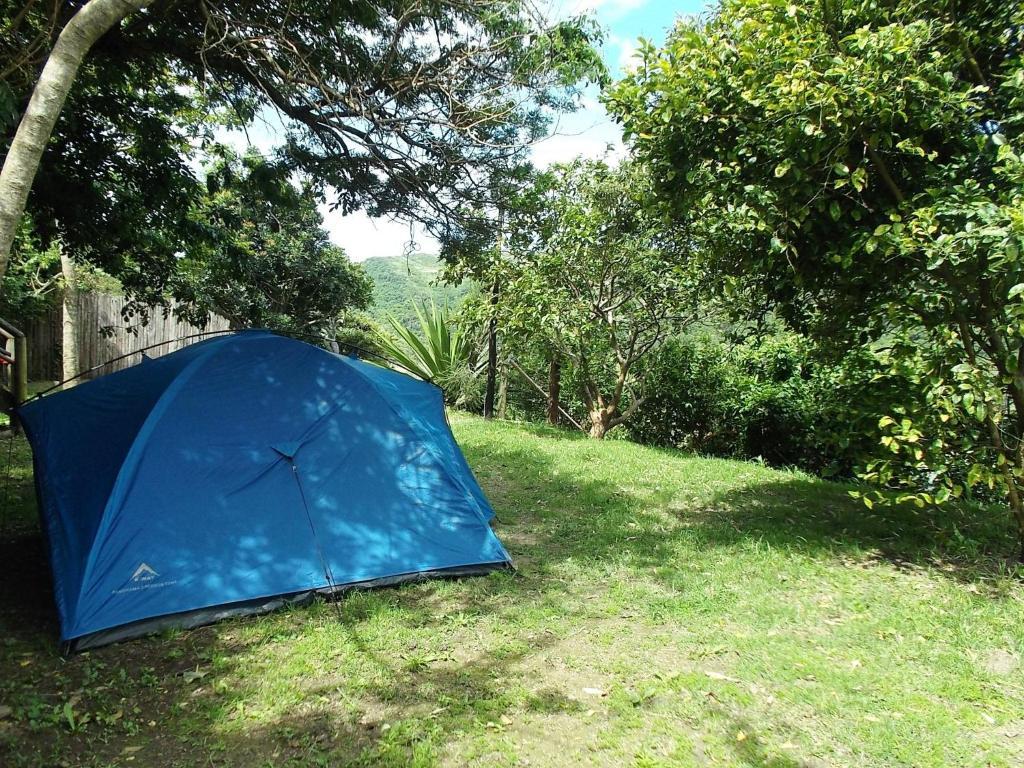 Amapondo Backpacker Lodge Port Saint Johnʼs Extérieur photo