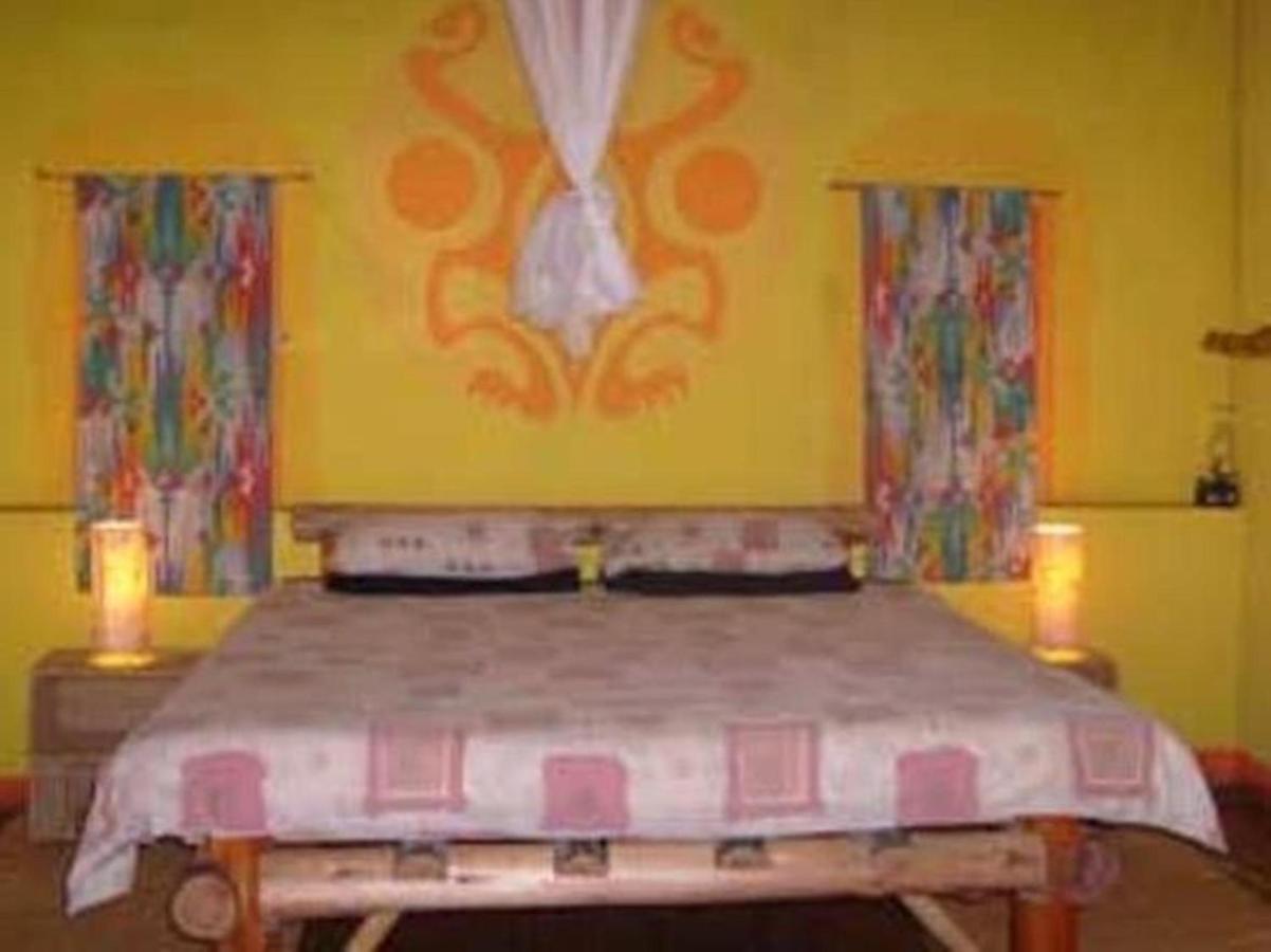 Amapondo Backpacker Lodge Port Saint Johnʼs Extérieur photo
